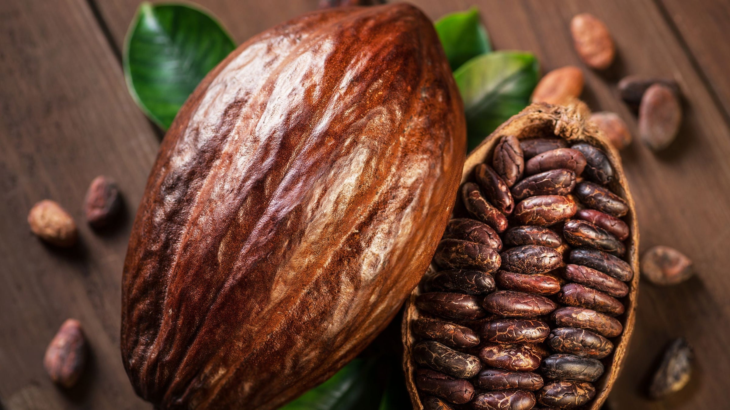 Cocoa pods in a forest