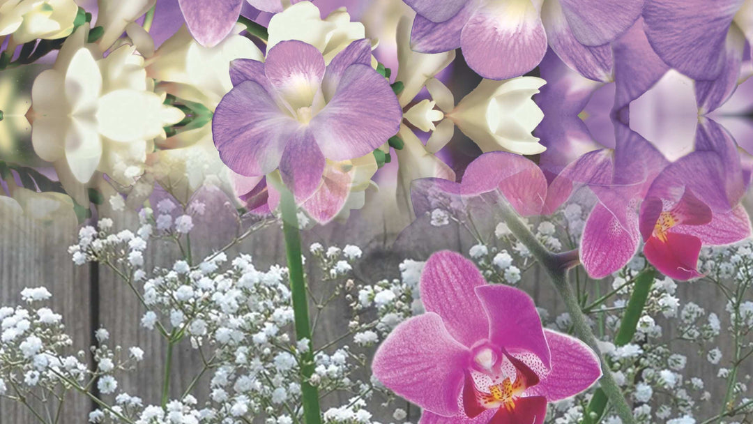 Oryx against a carpet of bright flowers