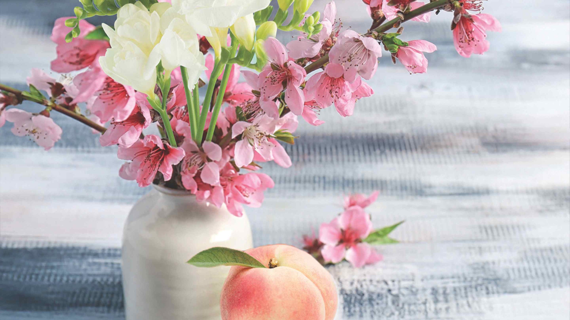 Pink peach blossoms against a blue sky
