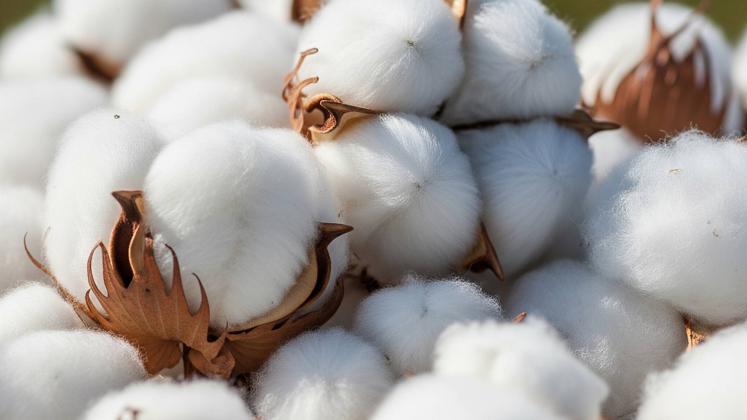 Close up of soft white cotton fabric