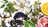 A mixture of fragrance family graphics