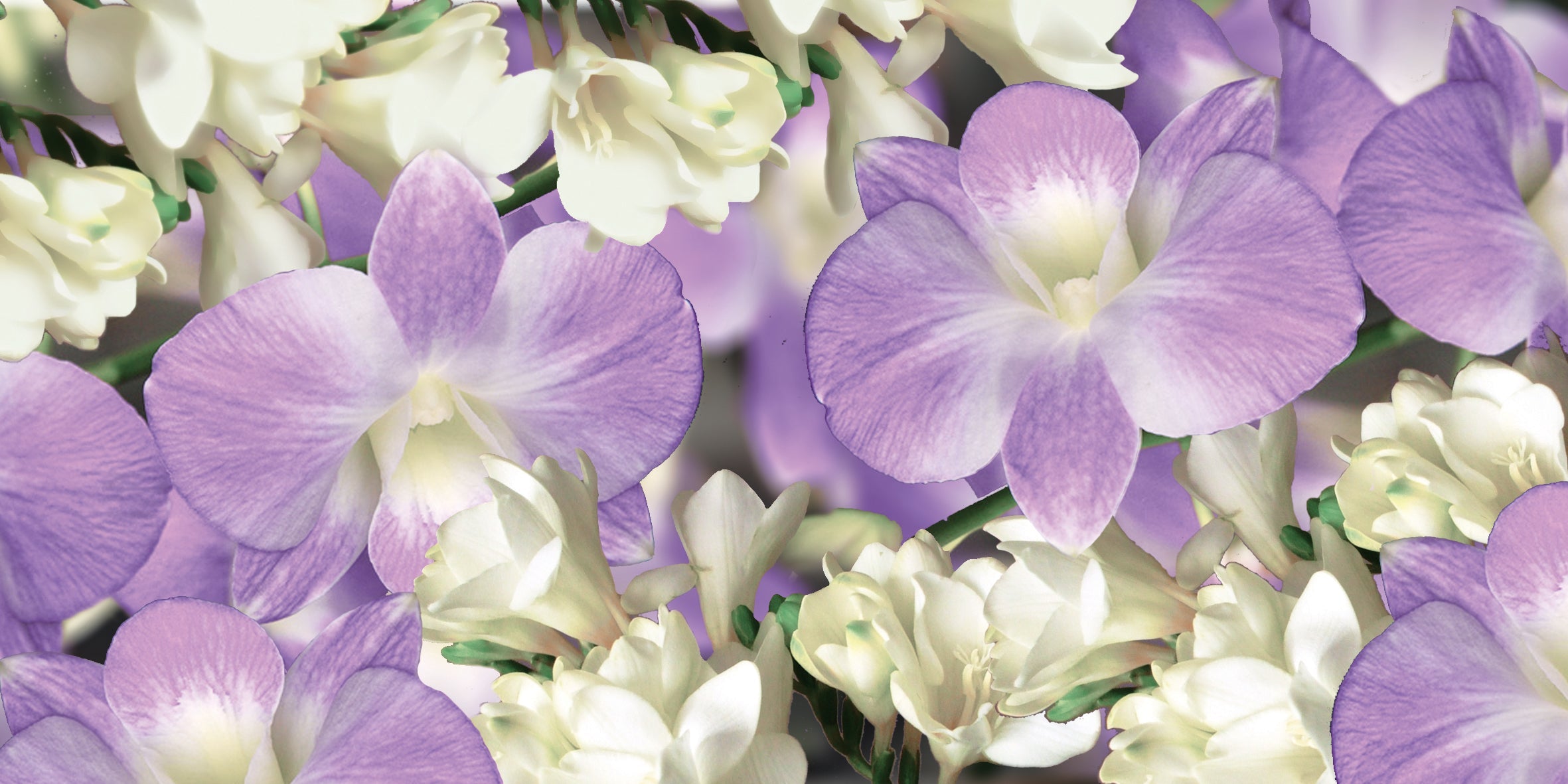 Freesia & Orchid fragrance image