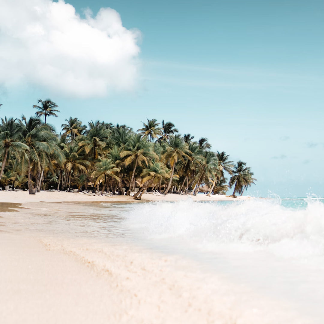 Beach with white sands and palm trees