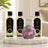 Mix & Match 250ml Lamp Fragrances