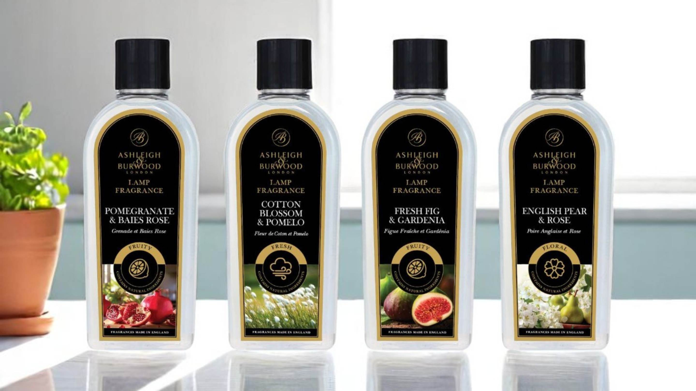 Fragrances of the Month