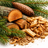 Fir & Cedarwood Lamp Fragrance
