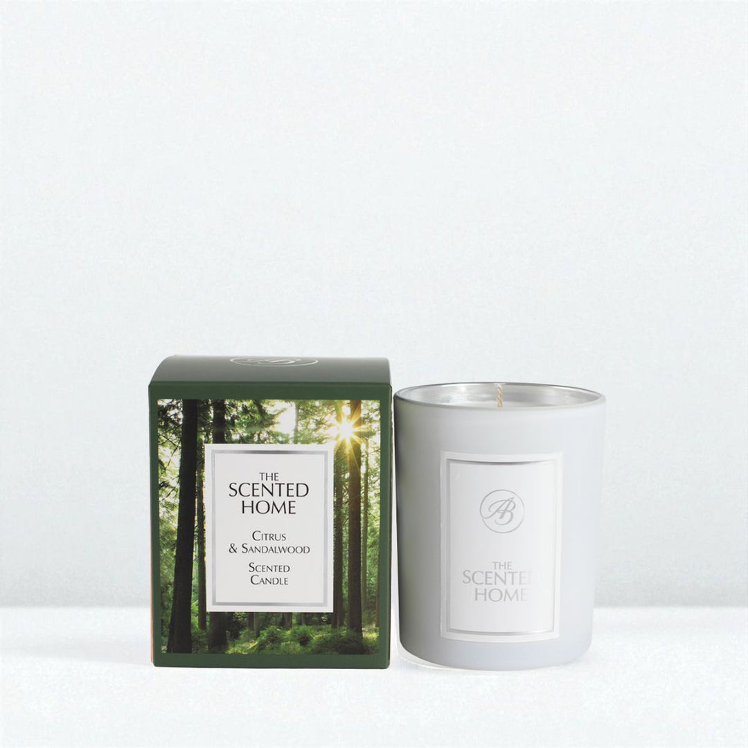 Scented candle with packaging featuring a forest design on a white background