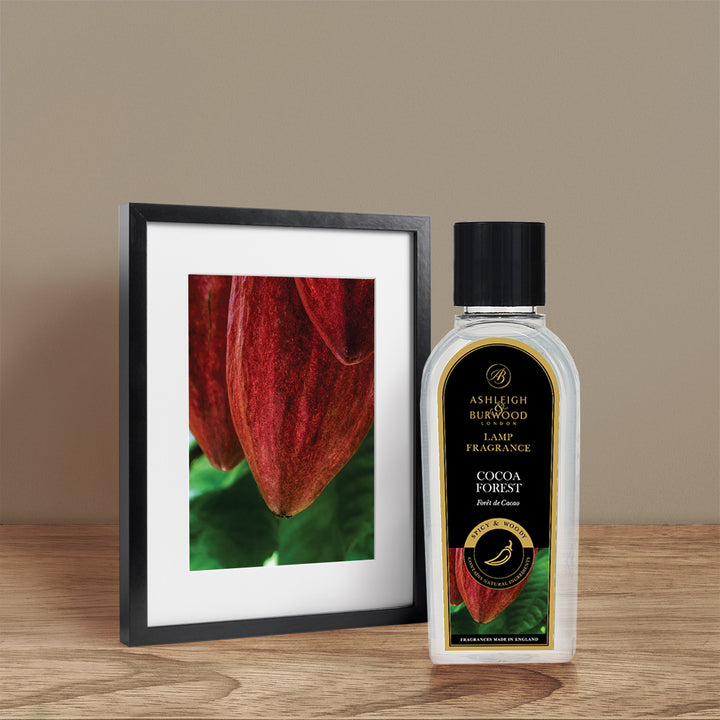 Cocoa Forest Lamp Fragrance