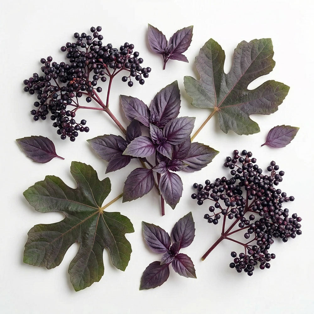 Elderberry & Purple Basil Scented Hanging Ceramic