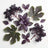 Elderberry & Purple Basil Scented Hanging Ceramic