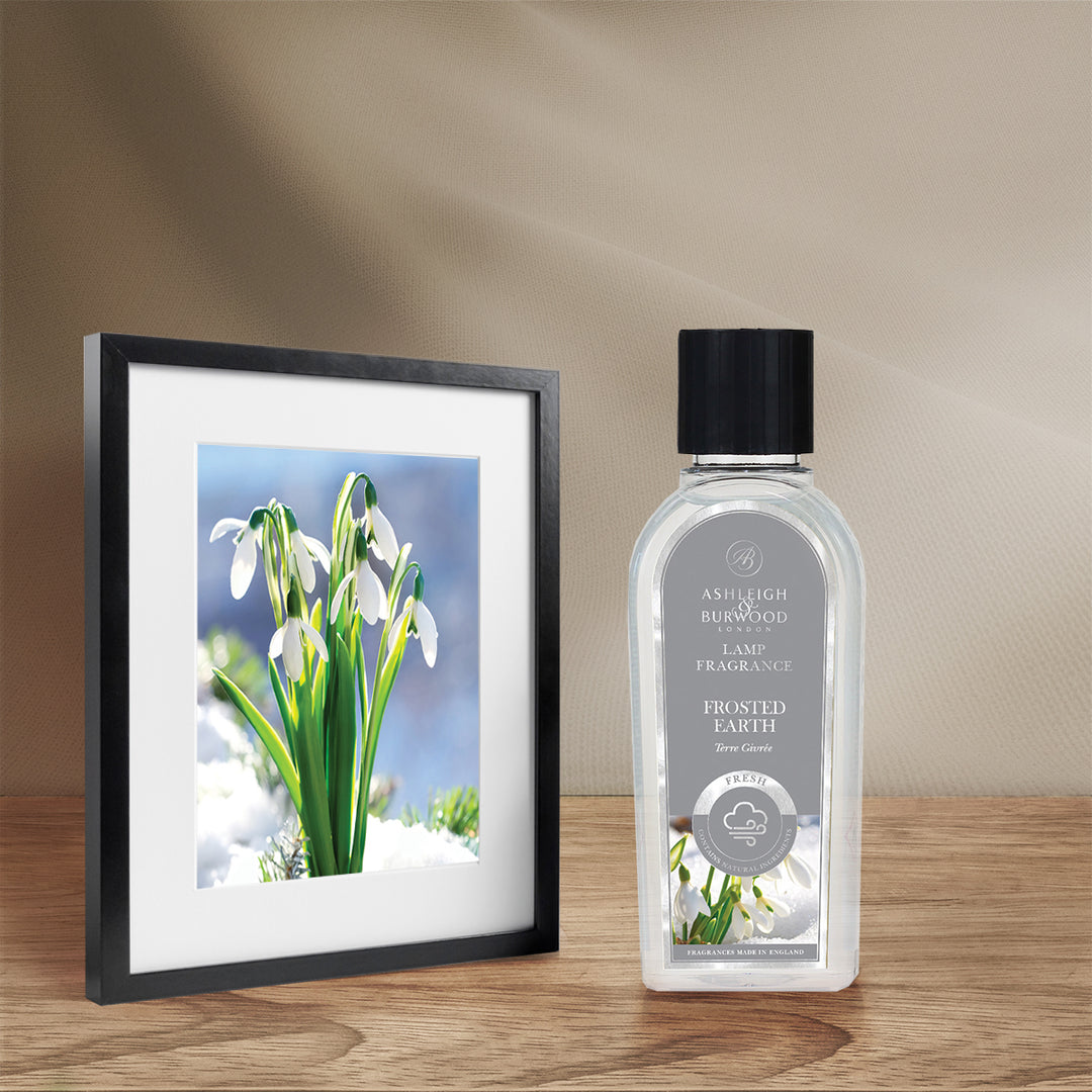 Frosted Earth Lamp Fragrance