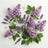 Wild Lavender & Lilac Scented Hanging Ceramic