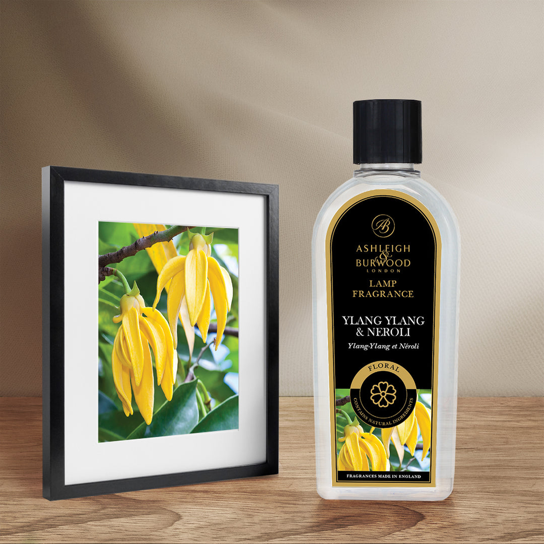 Ylang Ylang & Neroli Lamp Fragrance