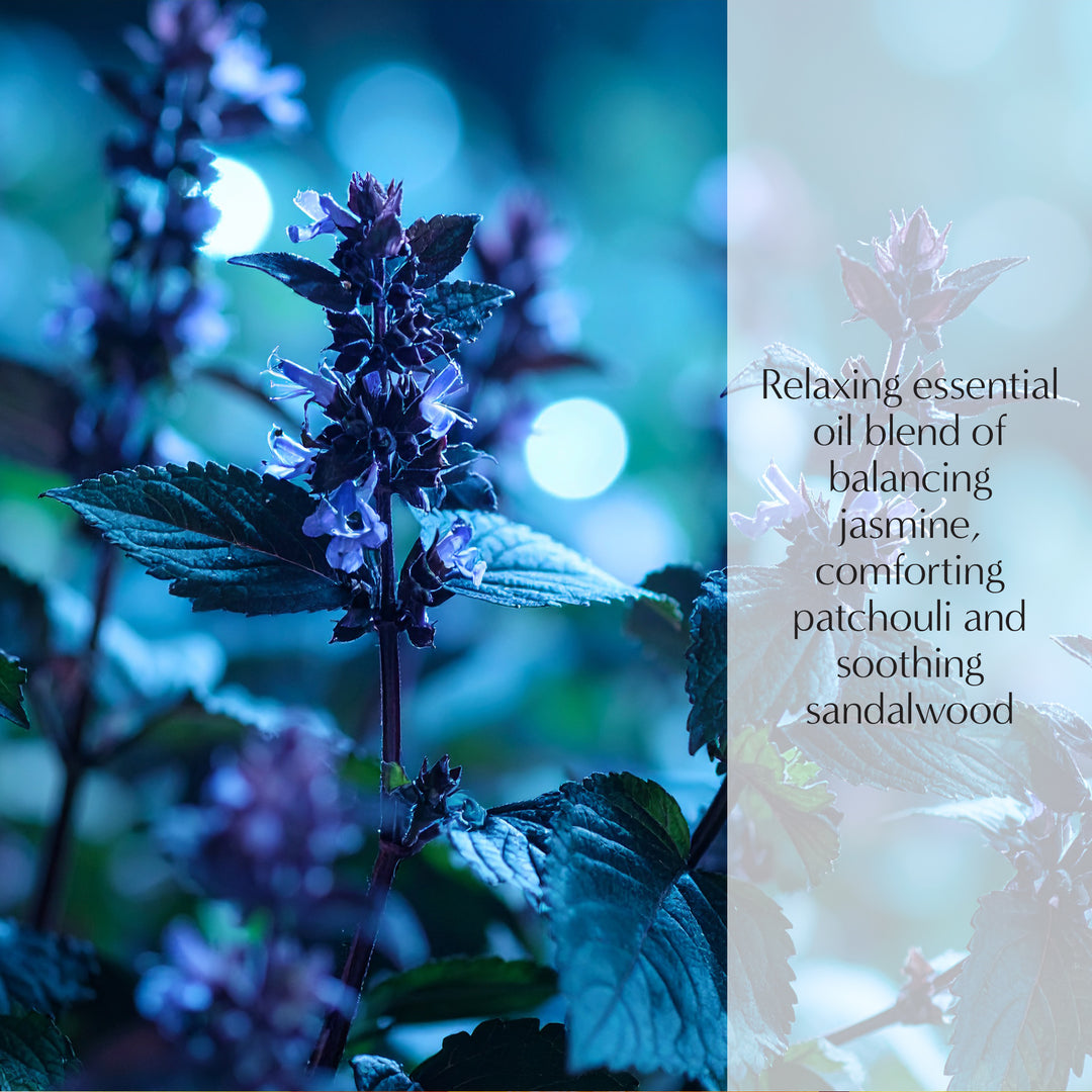 Relax Wellbeing Lamp Fragrance