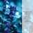 Relax Wellbeing Lamp Fragrance