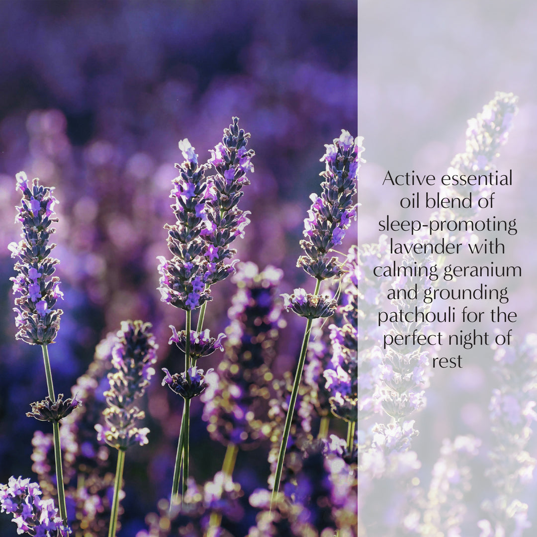 Sleep Wellbeing Lamp Fragrance