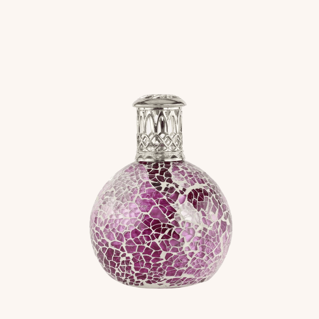 Sugar Plum Fragrance Lamp on a white background