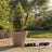 Elderberry & Purple Basil Garden Incense