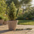Eucalyptus & Vetiver Garden Incense