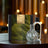 Ashleigh & Burwood fragranced lamp set with decorative bottle on a wooden surface.
